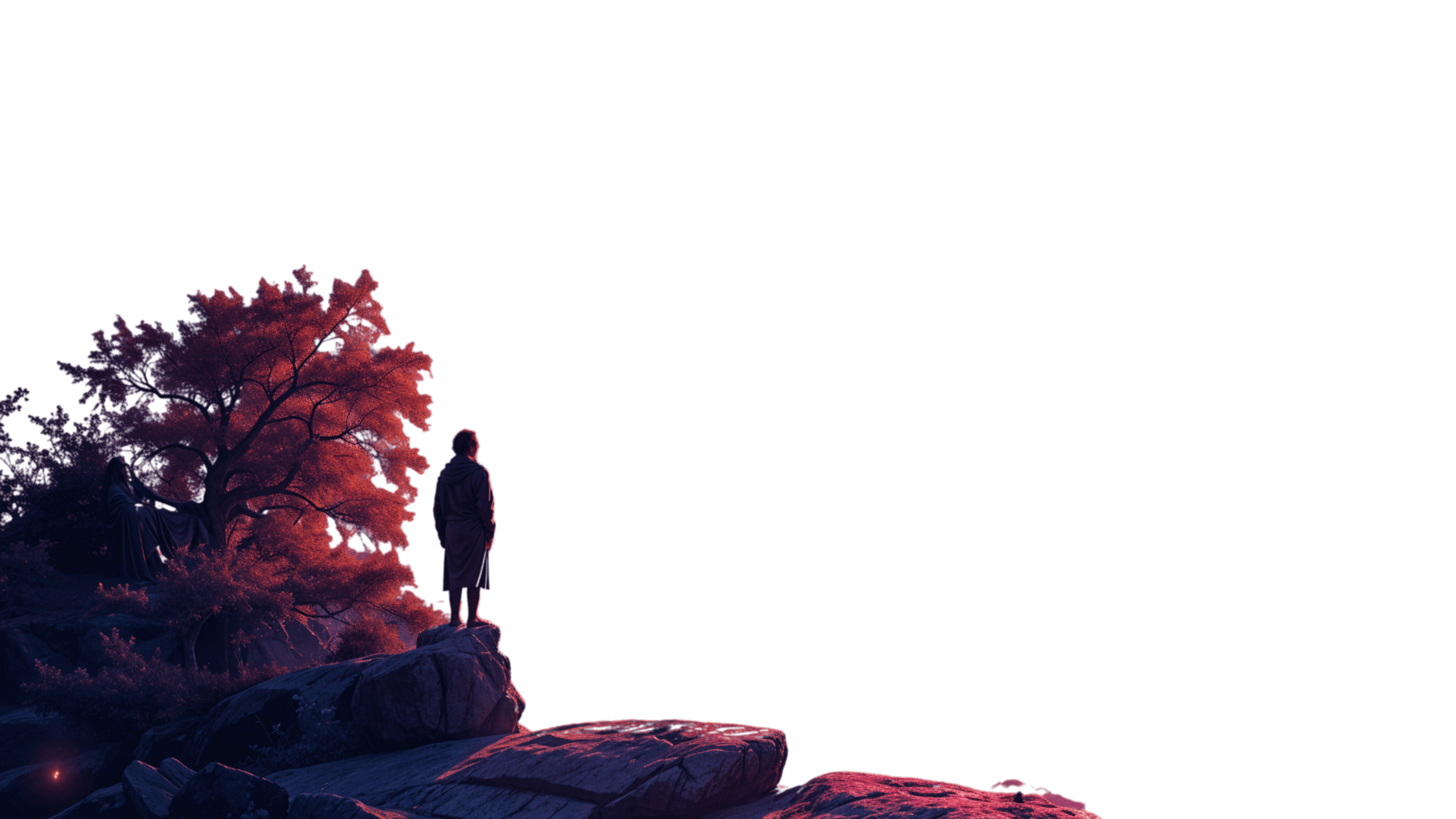 Life insurance calculator