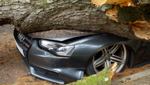Car insurance quote