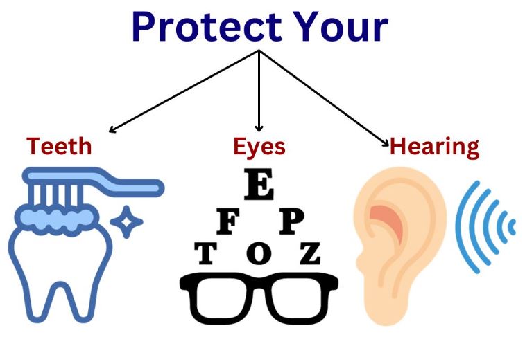 Supplemental Dental, Vision, and Hearing Coverage
