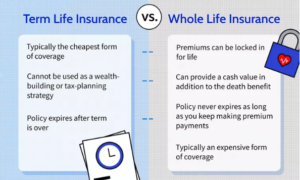 Whole Life Vs Term Life Insurance