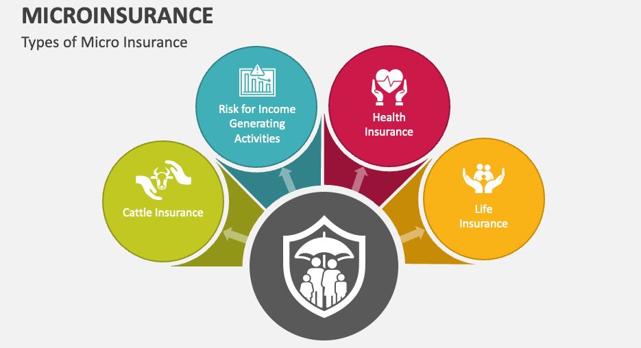 Microinsurance Policies 